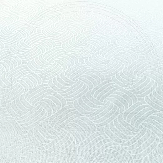 ZSPR-9 white мячики