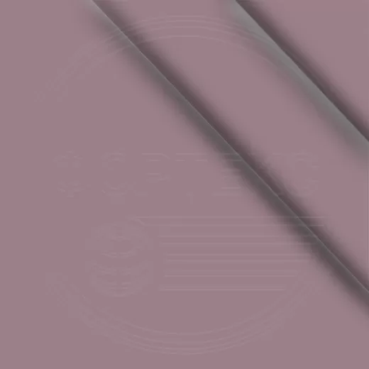 Toadstool 17-24115SPR-Toadstool 17-2411