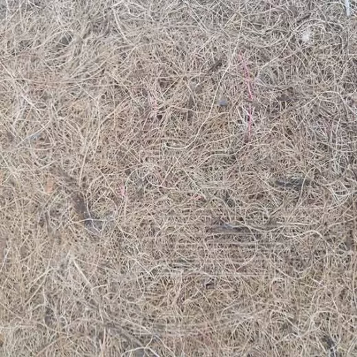 Жесткий наполнитель Кактус Cactus Flex для производства матрасов