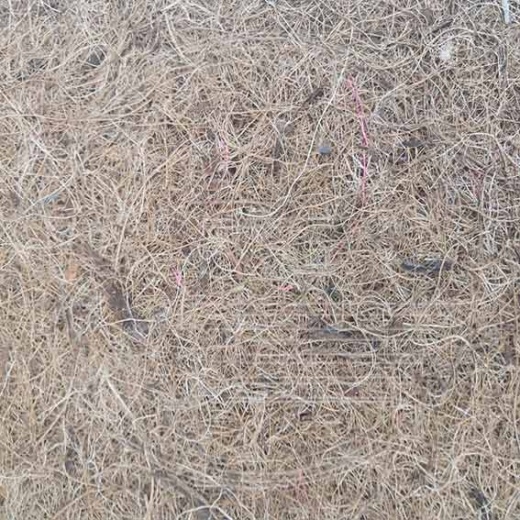 Жесткий наполнитель Кактус Cactus Flex для производства матрасов